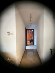 Spring Grove (D10), Condominium #566137801